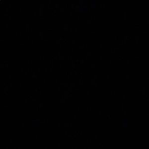 Meet your Posher, Amirrrah